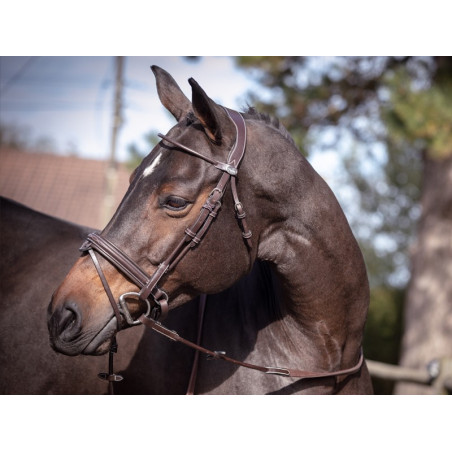 Bridon Friday muserolle combinada Jump'In week