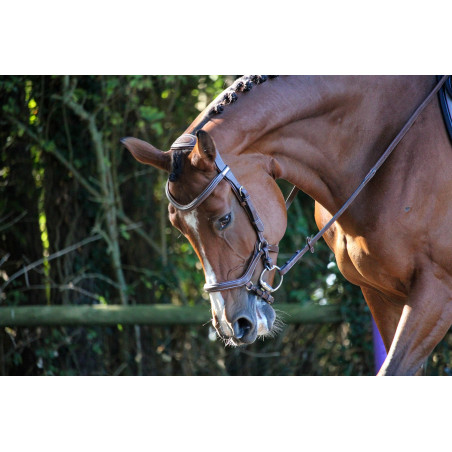 Filete Jump'In New York One