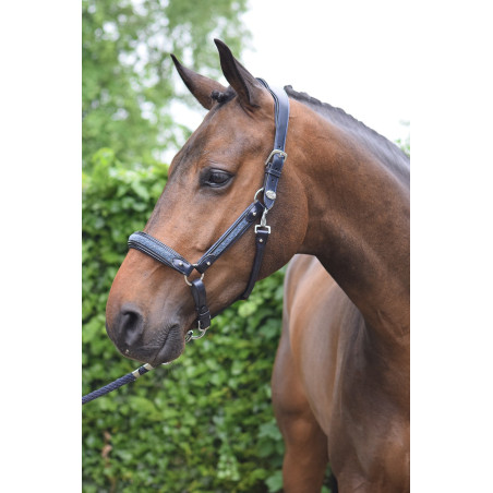 Caveção Crystal Jump'In week