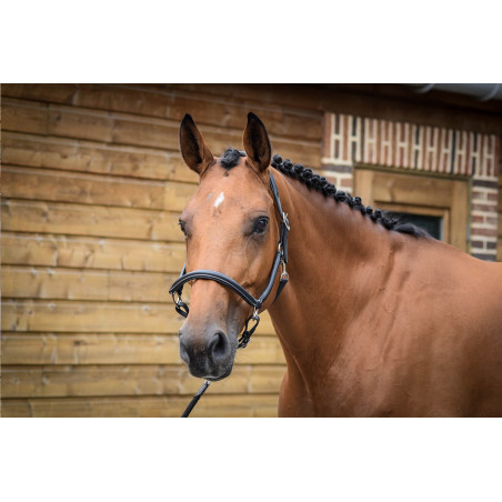 Cabezada de limpeza Jump'In One