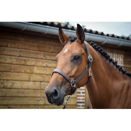 Caveção Fancy Jump'In One