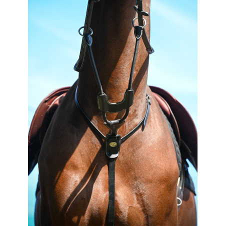 Martingale elástica Jump'In com anéis Week