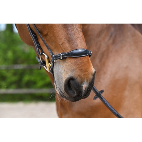 Muserola alemã Jump'In Week