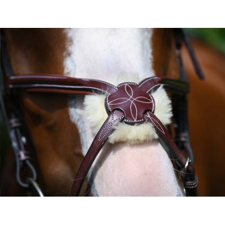 Muserola Tuesday Jump'In