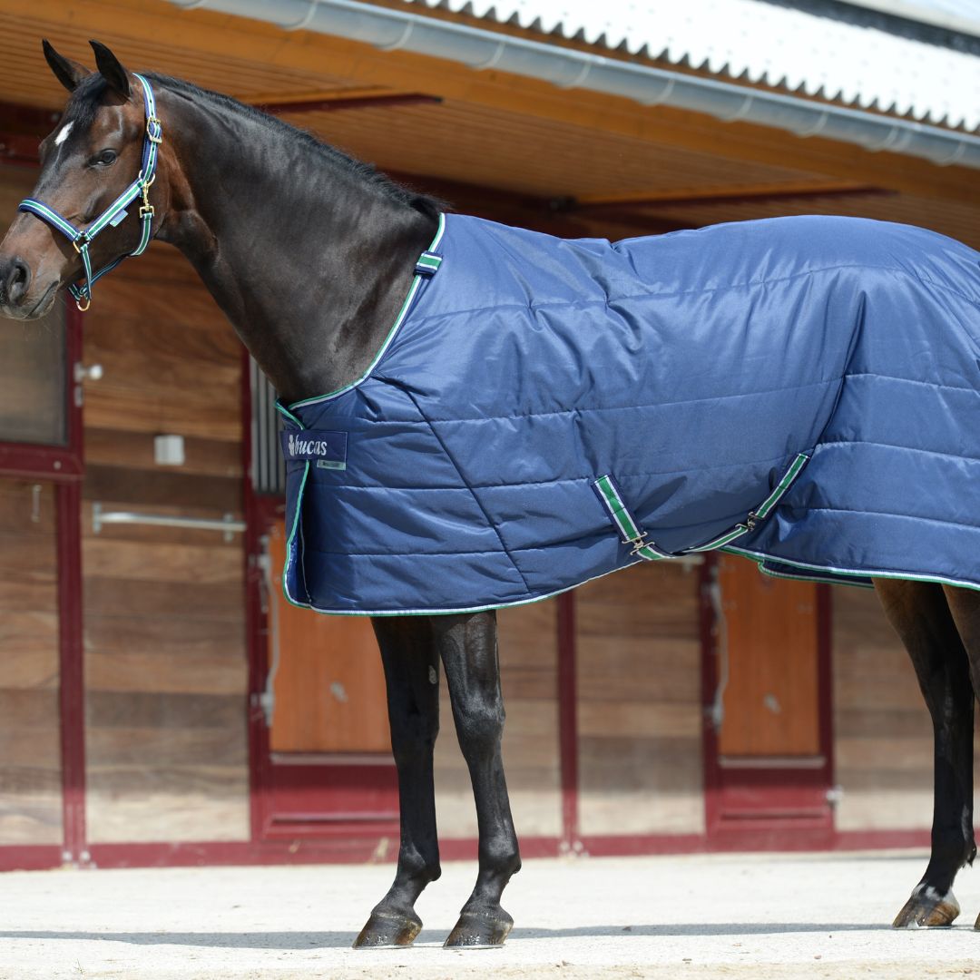 Cobertura de estábulo Bucas Quilt 300g Stay-Dry Azul-marinho