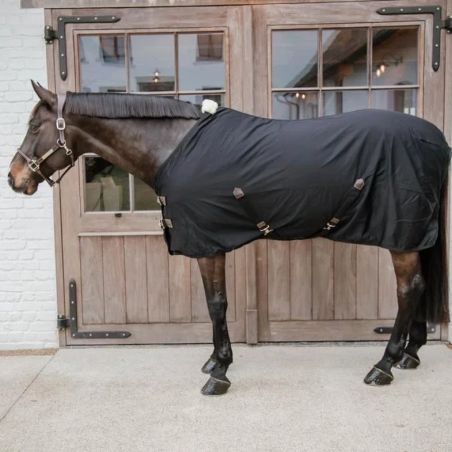 Camisa de Algodão Kentucky