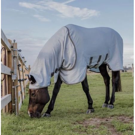 Capa Anti-dermatite Kentucky