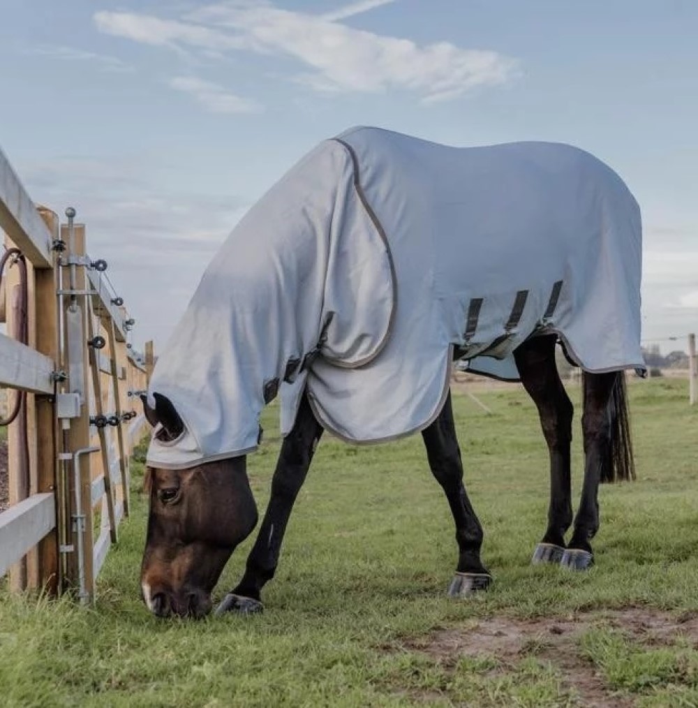 Capa Anti-dermatite Kentucky Cinzento