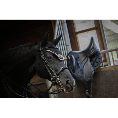 Bridão de dressage envernizado Jump'In week