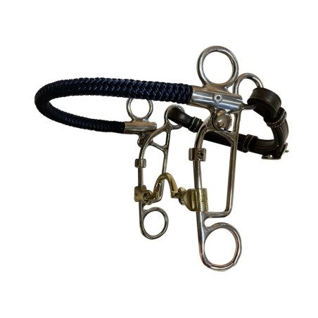 Mors tandem Jump'In dupla rutura com passagem de língua