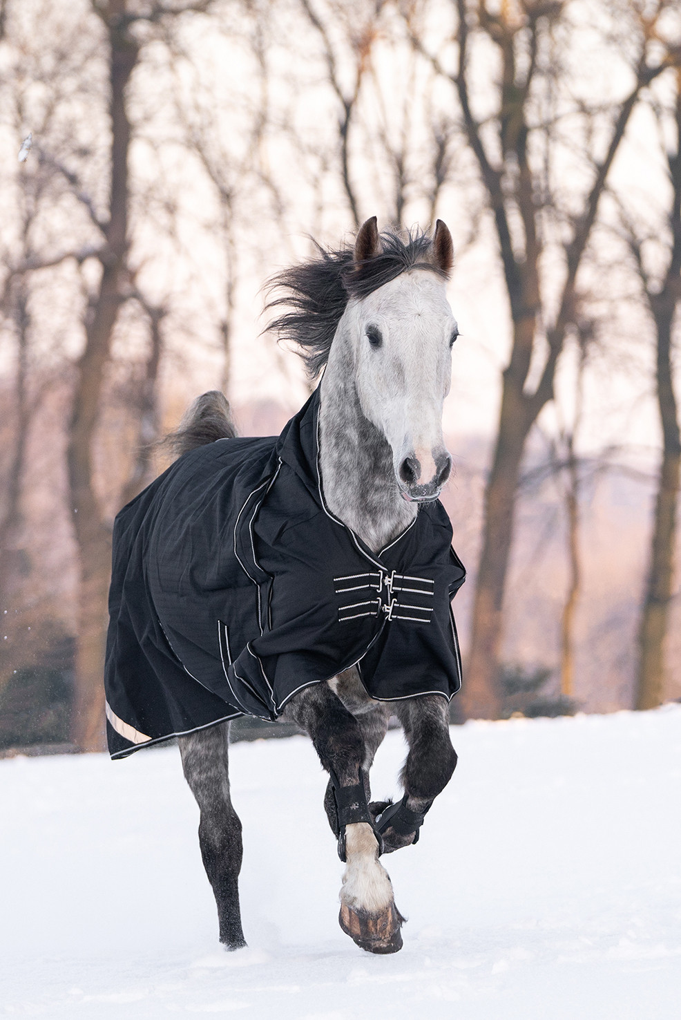 Cobertura highneck Innsbruck 400g HKM Preto