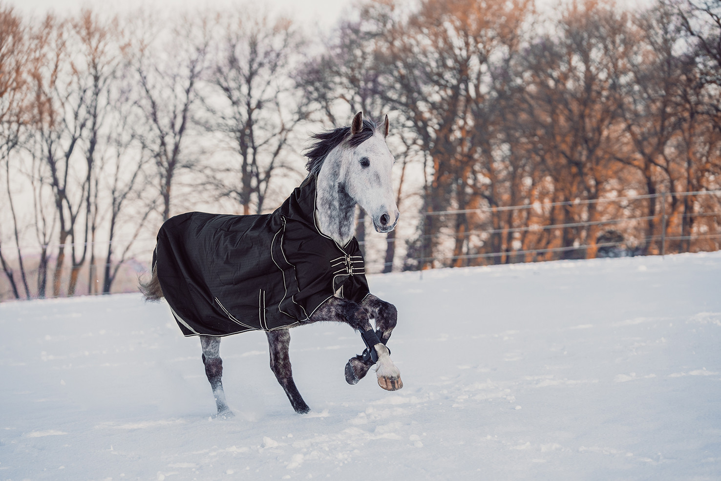 Cobertura highneck Innsbruck 400g HKM Preto