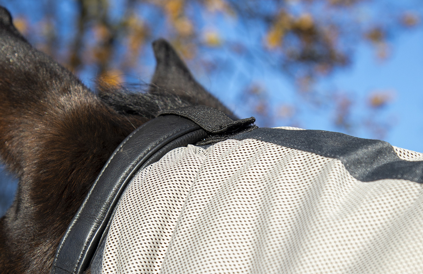 Capa anti-moscas Fringes Style com cobertura de pescoço removível HKM Prateado / cinza Prata