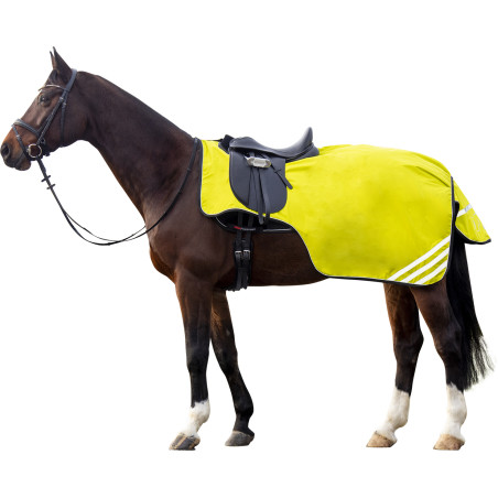 Cobre-rins polar Reflective forro polar HKM