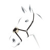 Bridão com focinheira mexicana Equestro - Preto