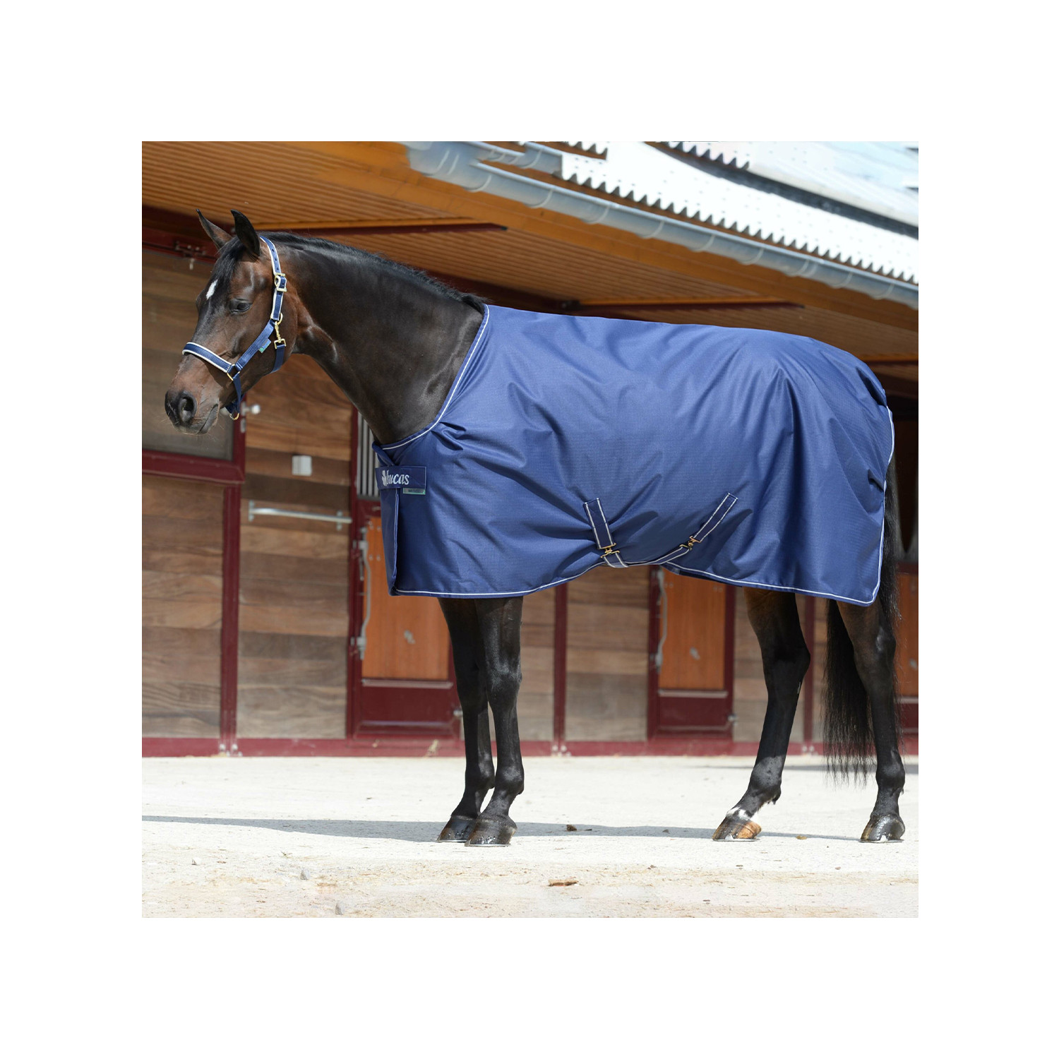 Cobertura de estábulo Bucas Freedom Stable 300g Azul-marinho