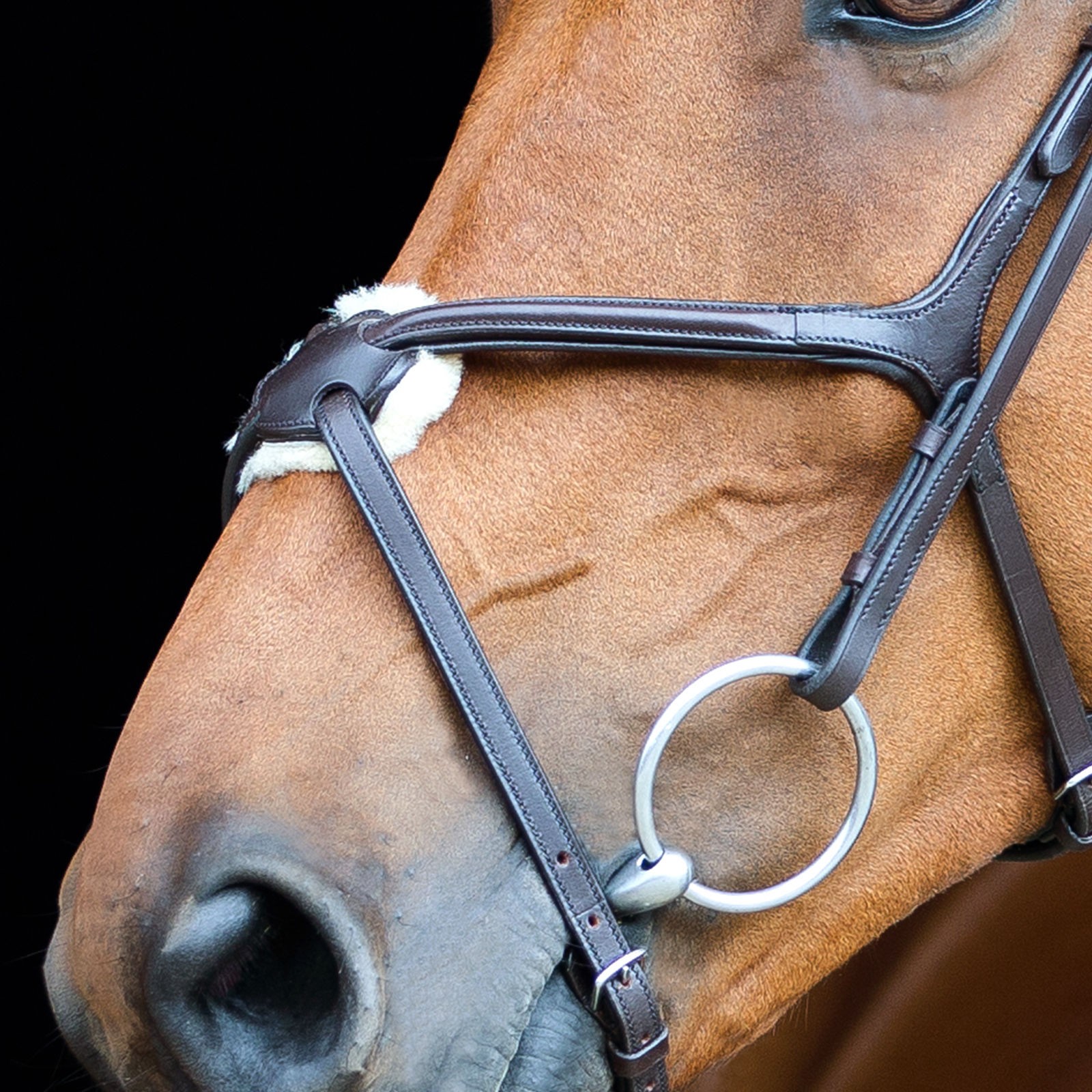 Cabeçada com noseband cruzado Prescott Horze Preto