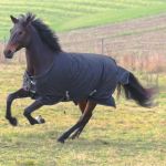 Cobertura RugBe IceProtect 200 Covalliero