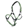 Cabresto Carlotta HKM - Jade