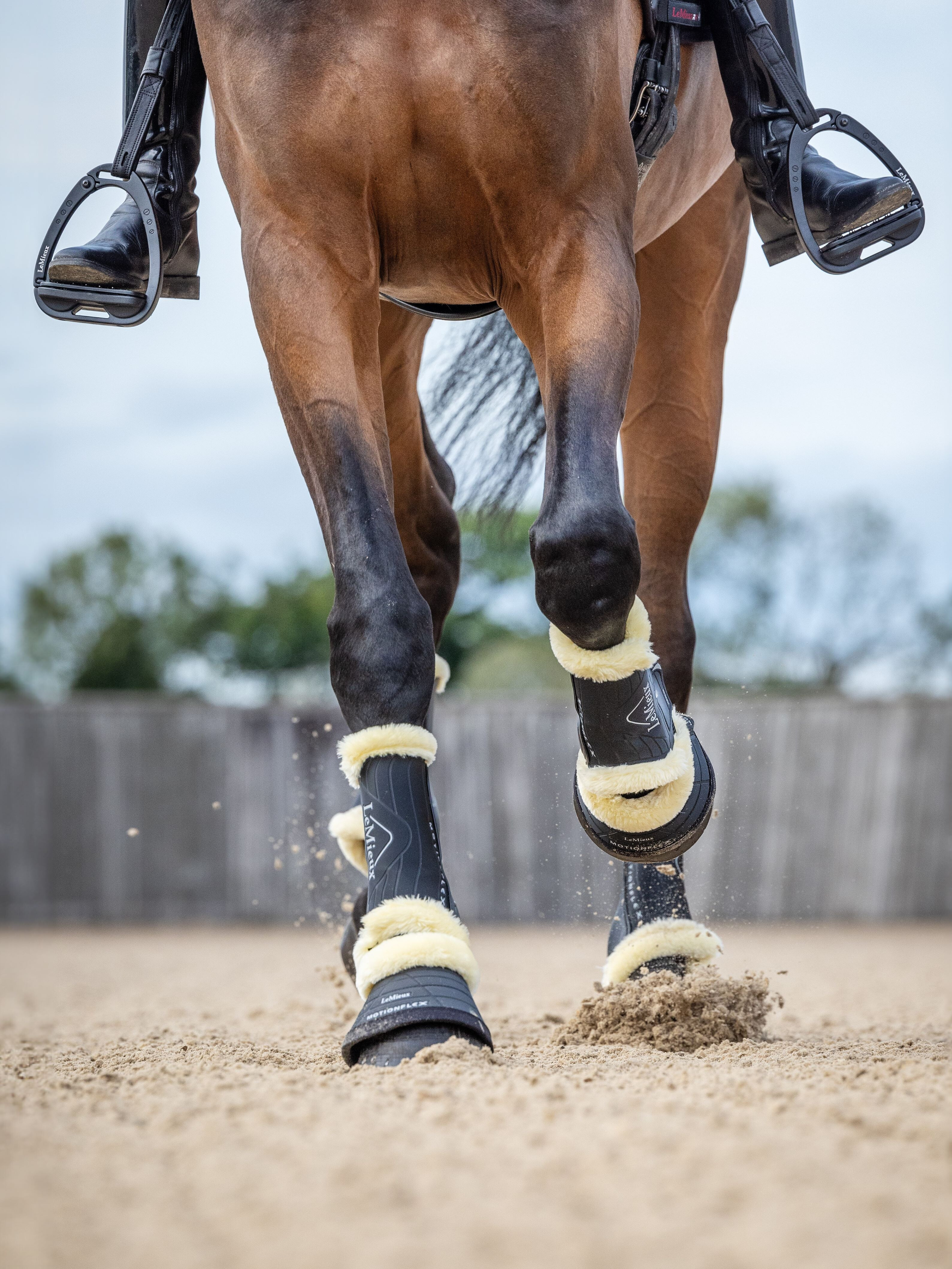 Guêtres de dressage mouton LeMieux Motionflex Preto / natural