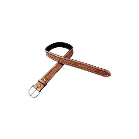 Cinto Western Classic Pool's