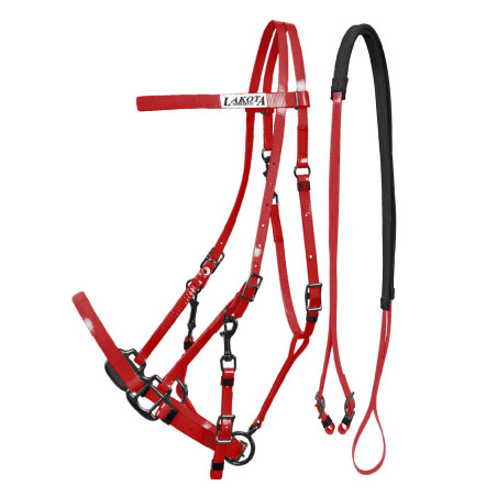 Bridão Cilha em Biothane Lakota