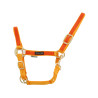 Cabezada de Nylon com Partes Coloridas Umbria Equitazione - Ouro / laranja
