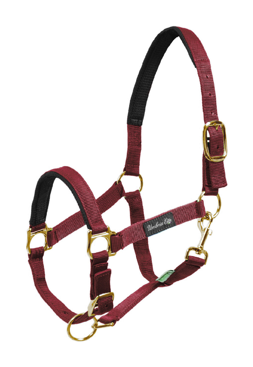 Cabezada de Nylon com Reforço em Neoprene Umbria Equitazione Bordéus Bord&amp;amp;amp;amp;amp;ocirc;