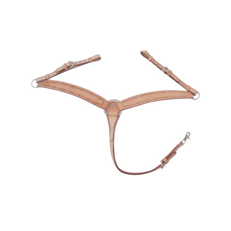 Peitoral Barbwire Pool's