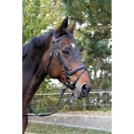 Bridão Classic preto em couro