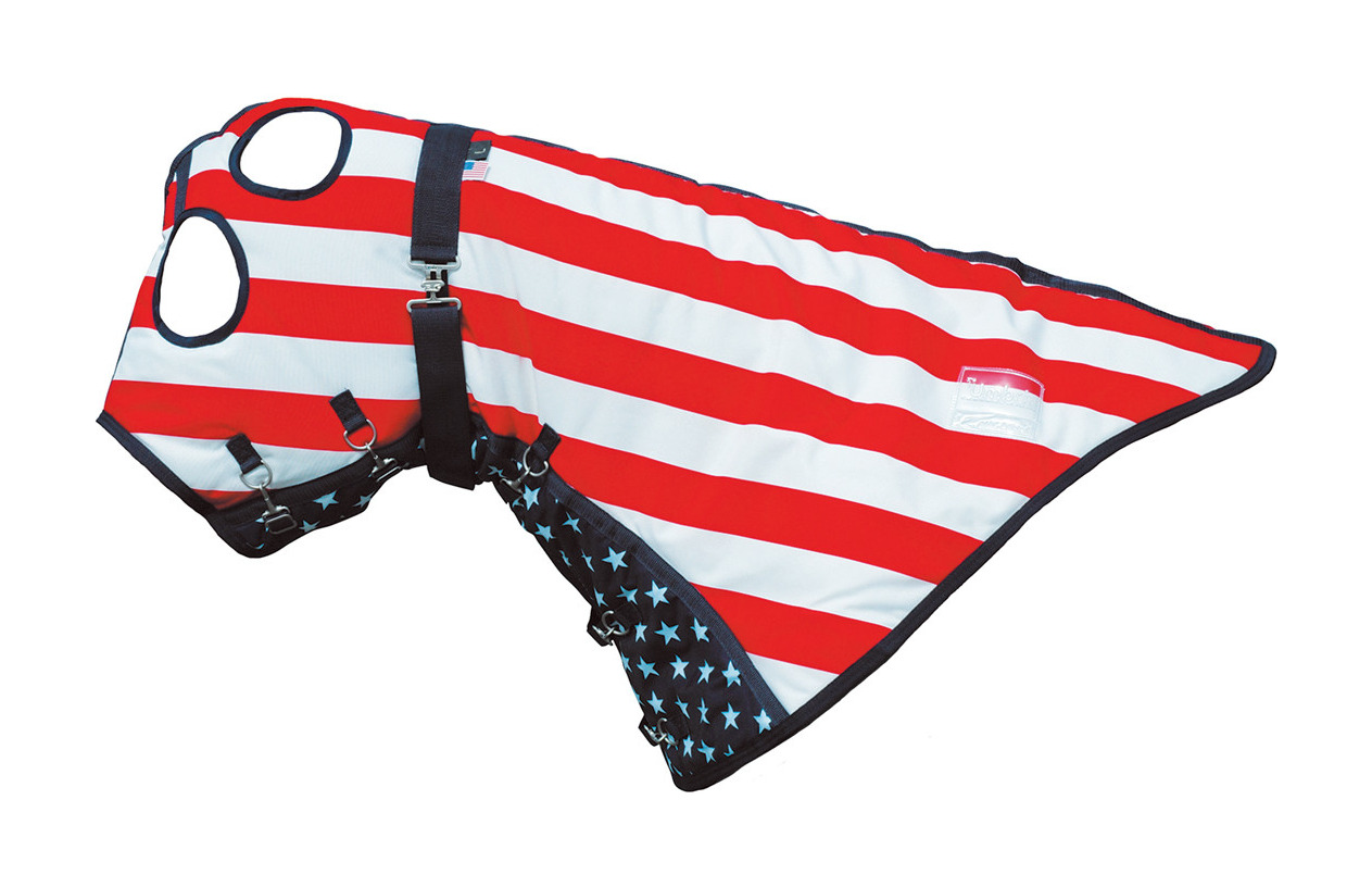 Protetor de pescoço 350g para Capa USA Stars CO00276 Umbria Equitazione Bandeira EUA Multicolor Protetor de pescoço 350g para Capa USA Stars CO00276 Umbria Equitazione Bandeira EUA Multicolor