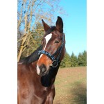 Caveçon Exclusivo preto em couro