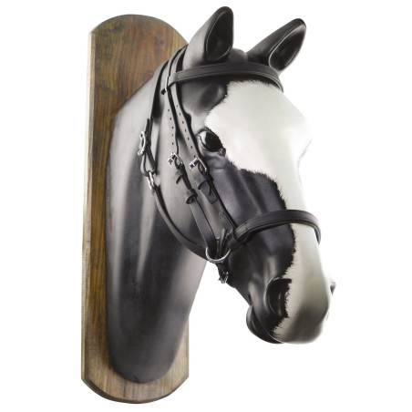 Bridão Biothane Horse Ball com Rédeas Umbria Equitazione