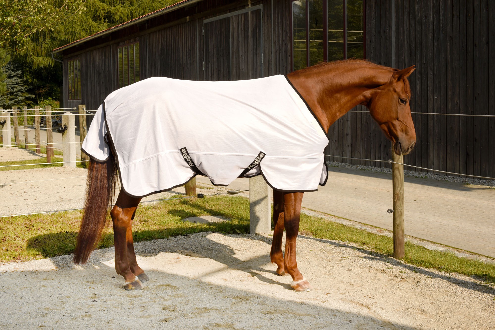 Capa anti-mosca RugBe SuperFly branca Covalliero Branco Capa anti-mosca RugBe SuperFly branca Covalliero Branco