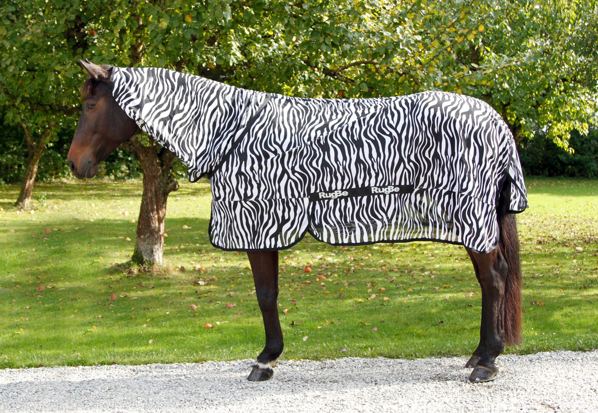 Capa anti-mosca RugBe Zebra Covalliero Capa anti-mosca RugBe Zebra Covalliero