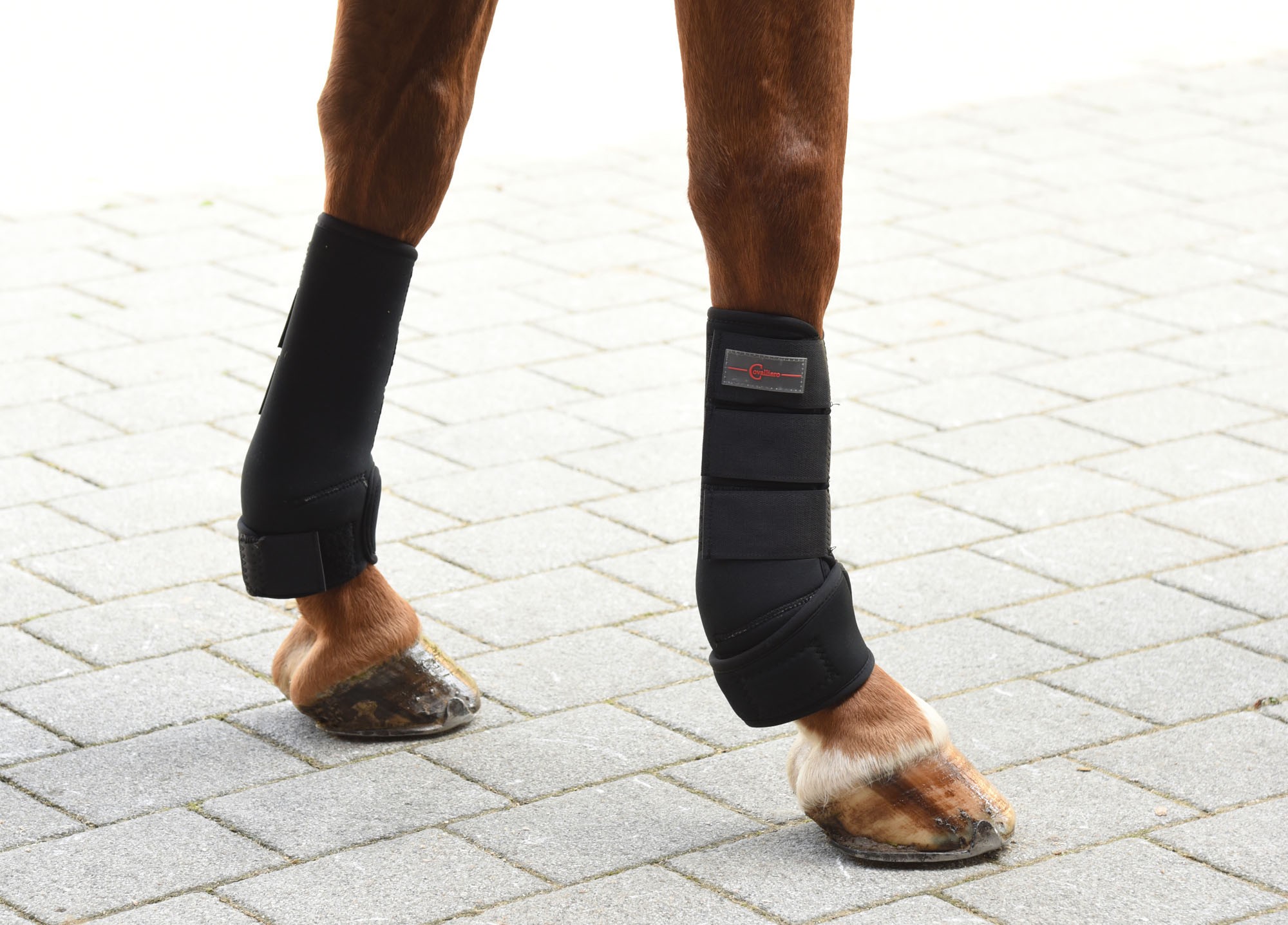 Guarnições equestres Covalliero para proteção equina