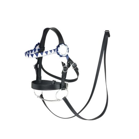 Apresentação de Cavalo de Brinquedo Bride LeMieux