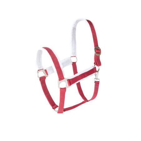 Caveção de Natal Horze