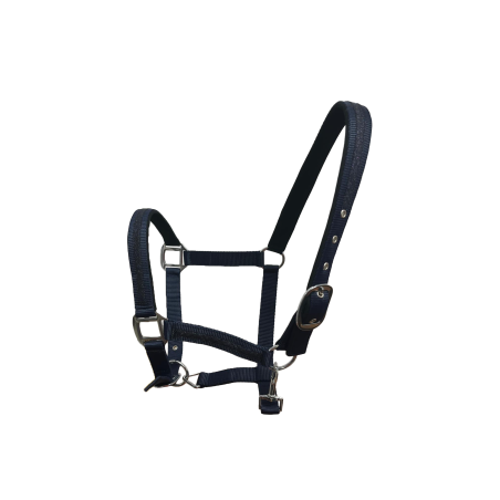 Conjunto de cabeçada e rédea Flags & Cup Atamik