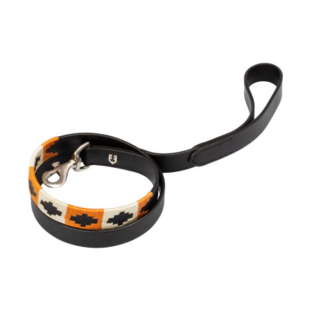 Coleira para cachorro modelo Polo N Equestro