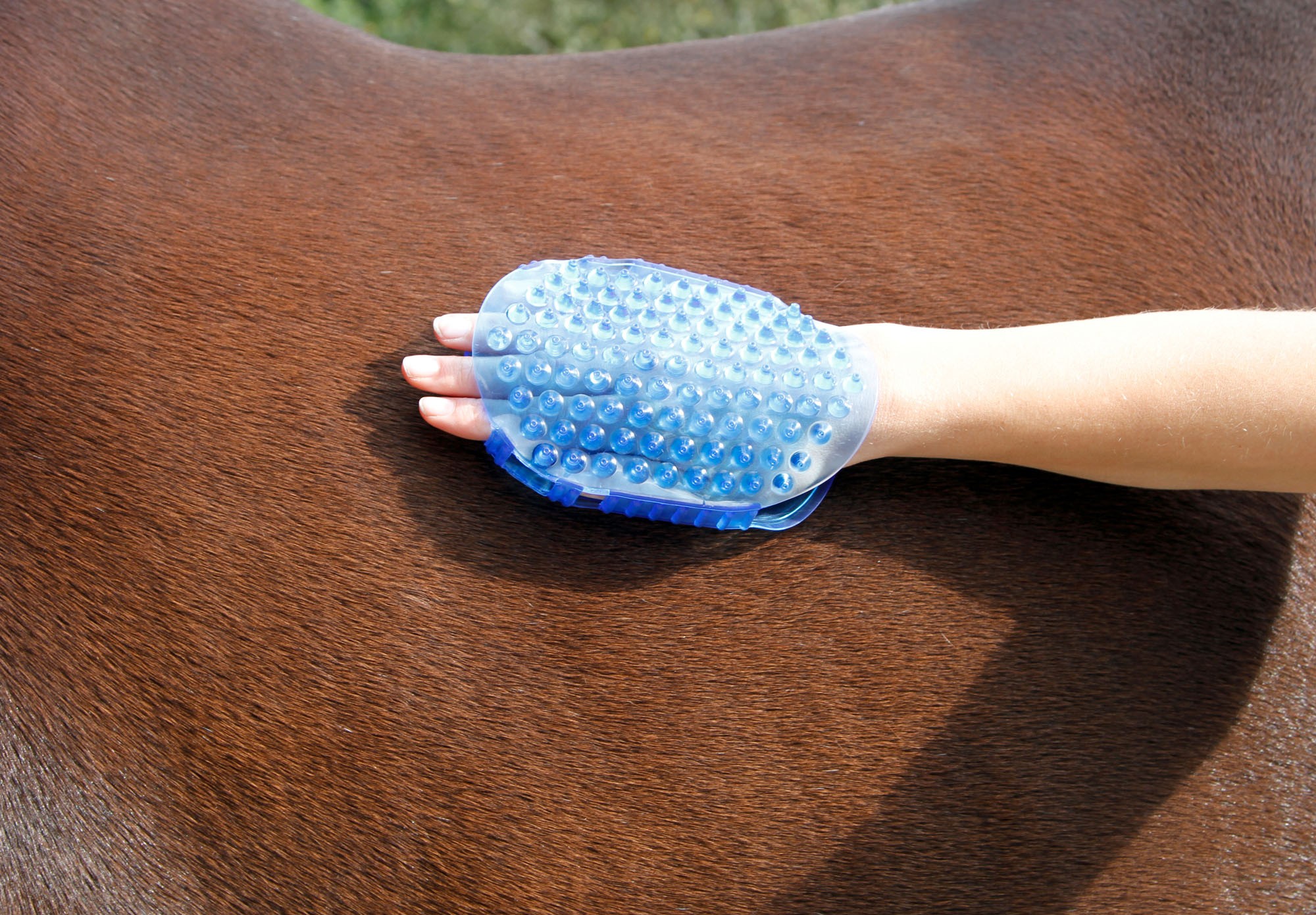 Escova de massagem magnética Azul royal