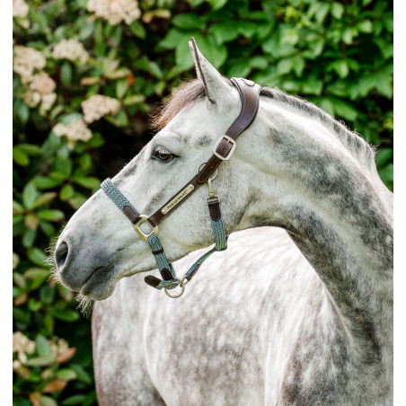 Caveção trançado Horseware Signature