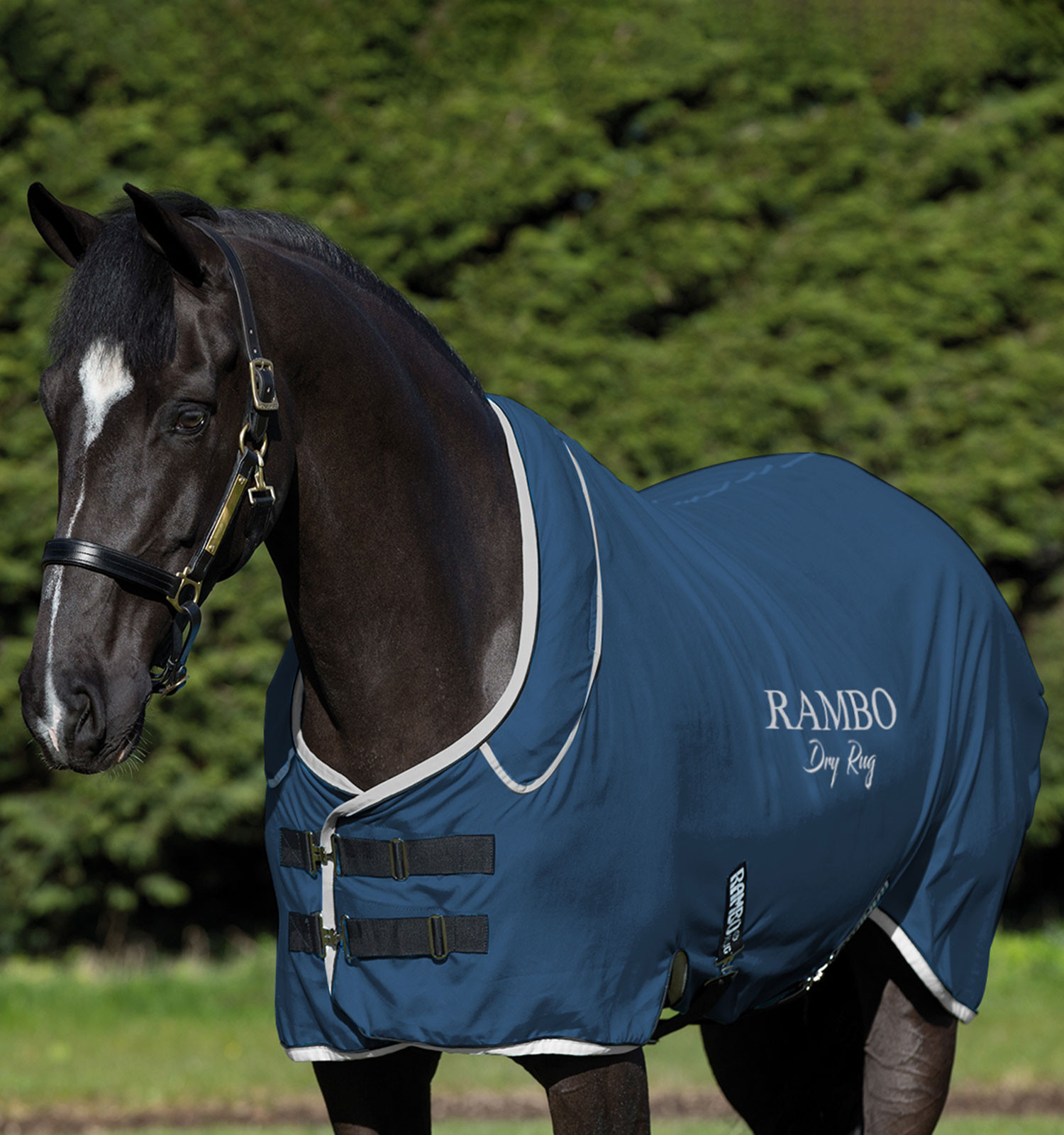 Manta secante Horseware Rambo Dry Rug Supreme Marinho / prateado Azul Manta secante Horseware Rambo Dry Rug Supreme Marinho / prateado Azul