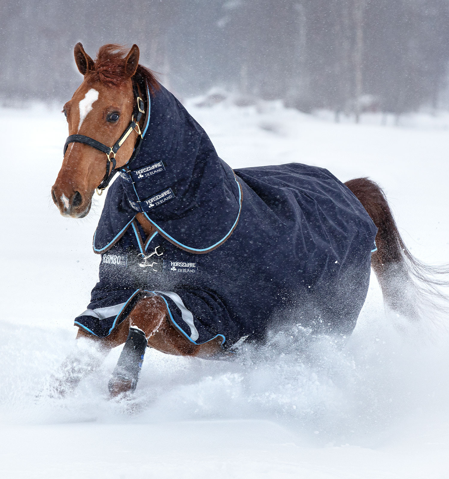 Capa de exterior Horseware Rambo Duo 100g + forro 300g Marinho / azul céu Capa de exterior Horseware Rambo Duo 100g + forro 300g Marinho / azul céu