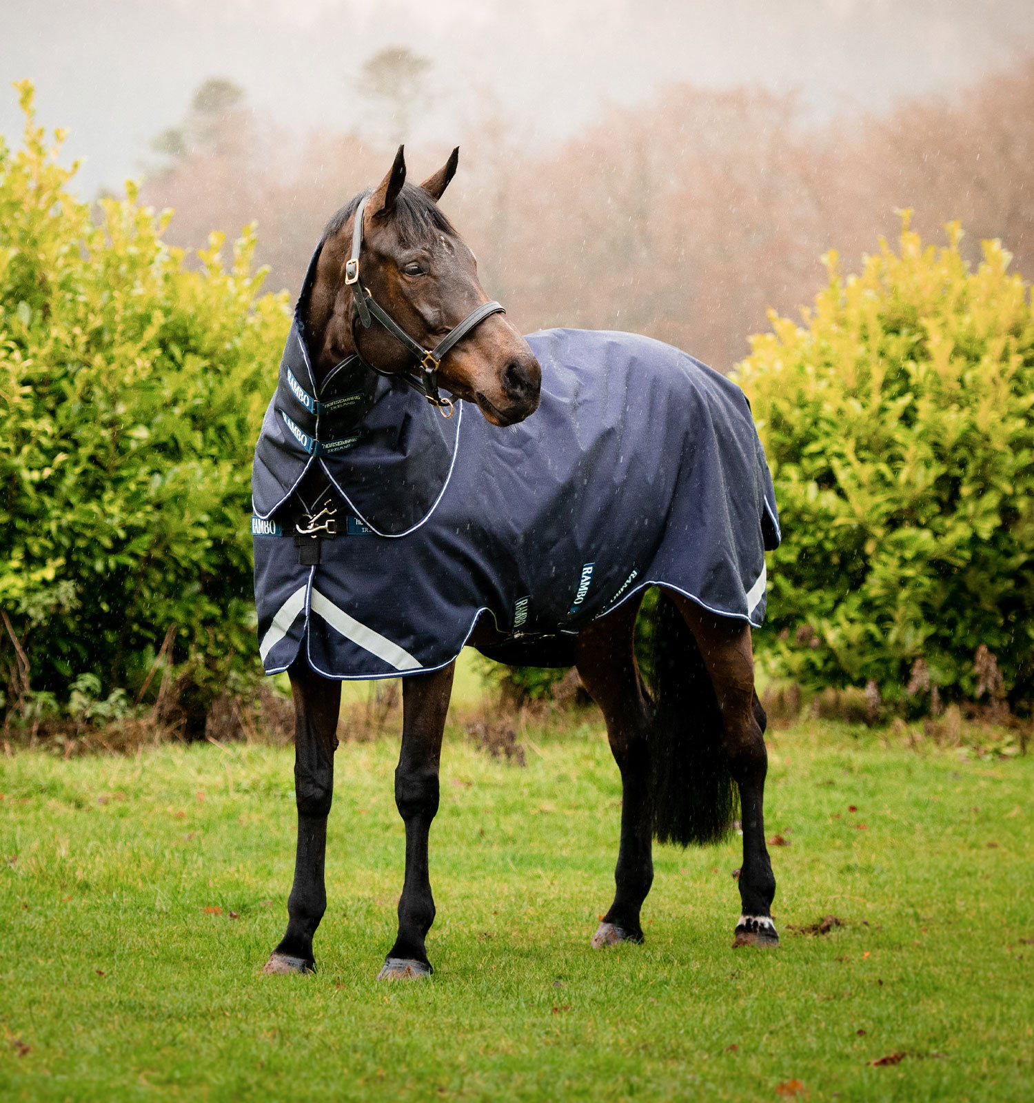 Capa Horseware Rambo Duo Force 100g com liners de 100g e 300g Marinho / marinho / branco Azul-marinho Capa Horseware Rambo Duo Force 100g com liners de 100g e 300g Marinho / marinho / branco Azul-marinho