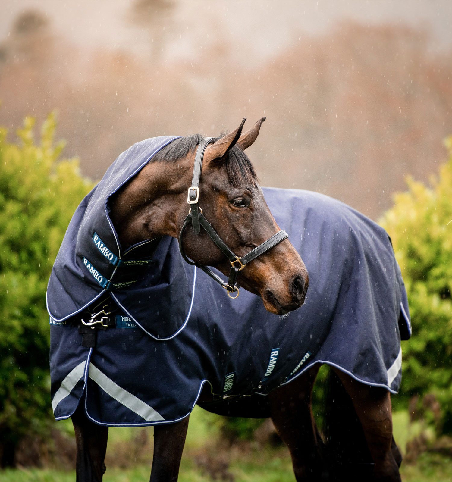 Capa Horseware Rambo Duo Force 100g com liners de 100g e 300g Marinho / marinho / branco Azul-marinho Capa Horseware Rambo Duo Force 100g com liners de 100g e 300g Marinho / marinho / branco Azul-marinho