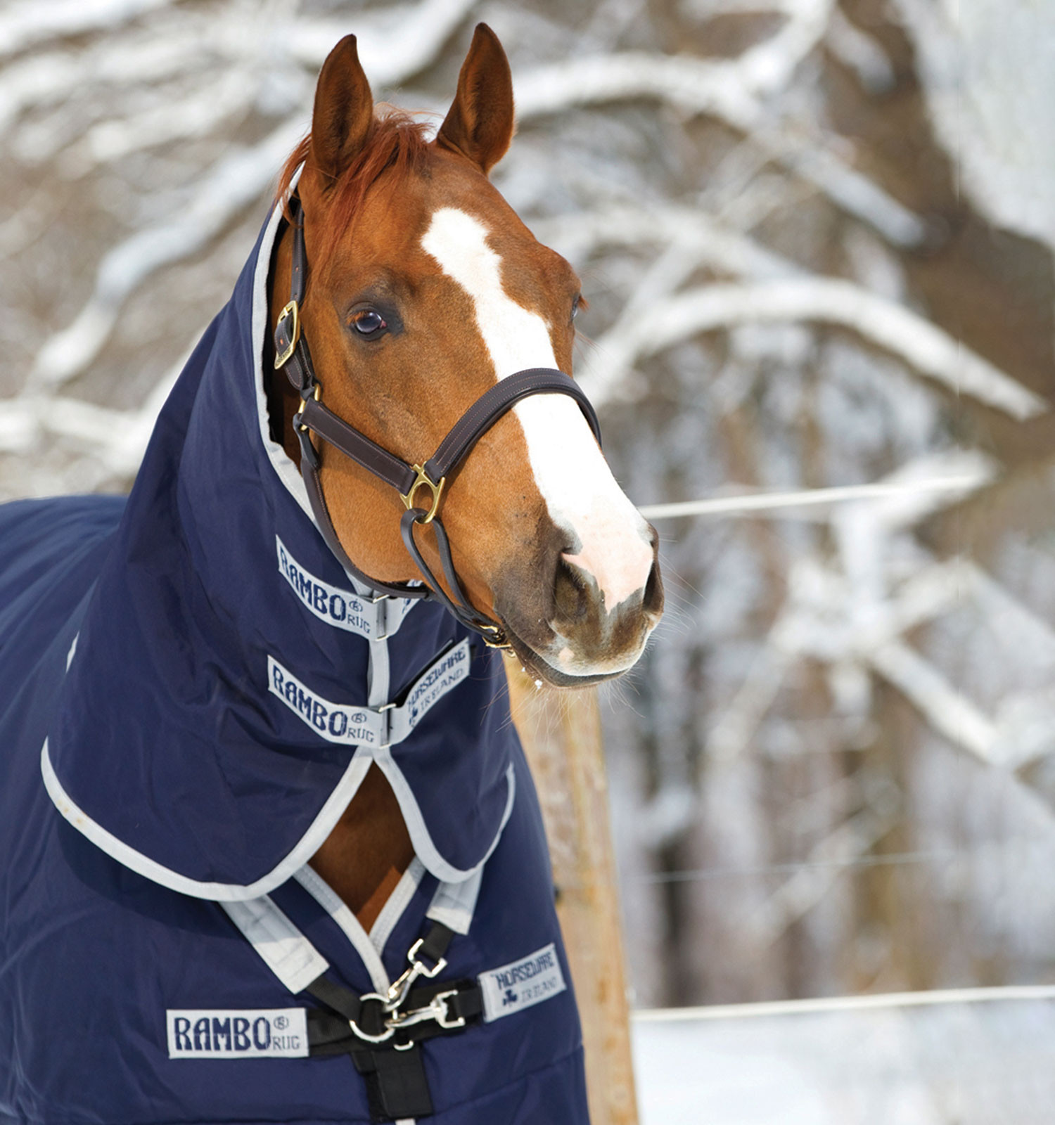 Cobertura Horseware Rambo Original 200g com Leg Arches Marinho / prateado Azul