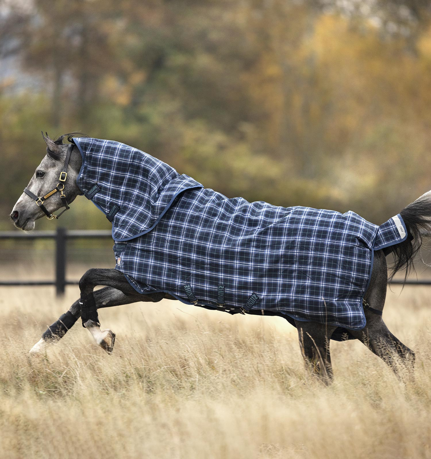 Cobertura Horseware Rhino Plus Vari-Layer 450g Marinho xadrez / índigo Azul-marinho