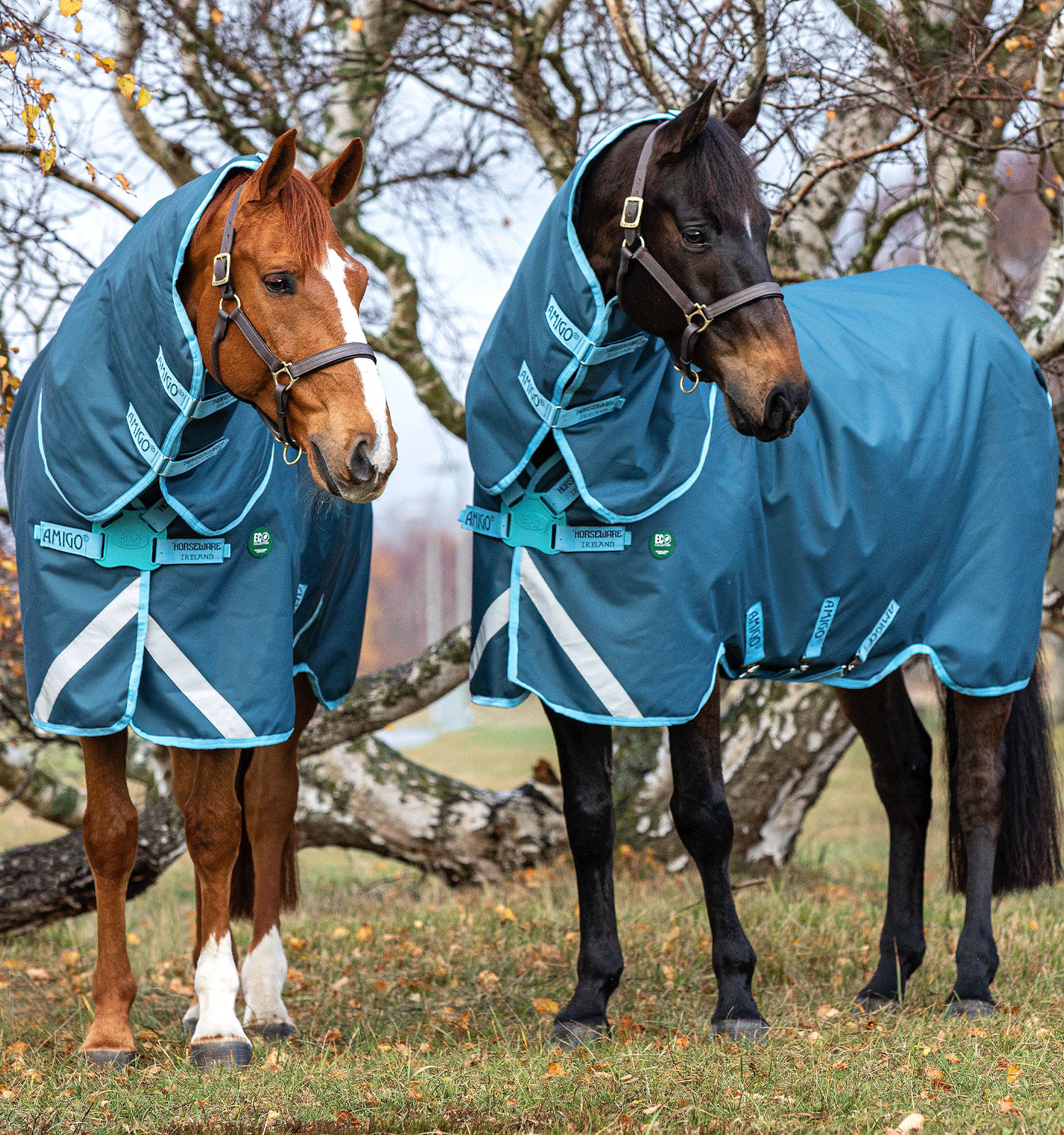 Cobertura Horseware Amigo AmEco 12 Plus 250g Azul escuro / azul claro / azul escuro