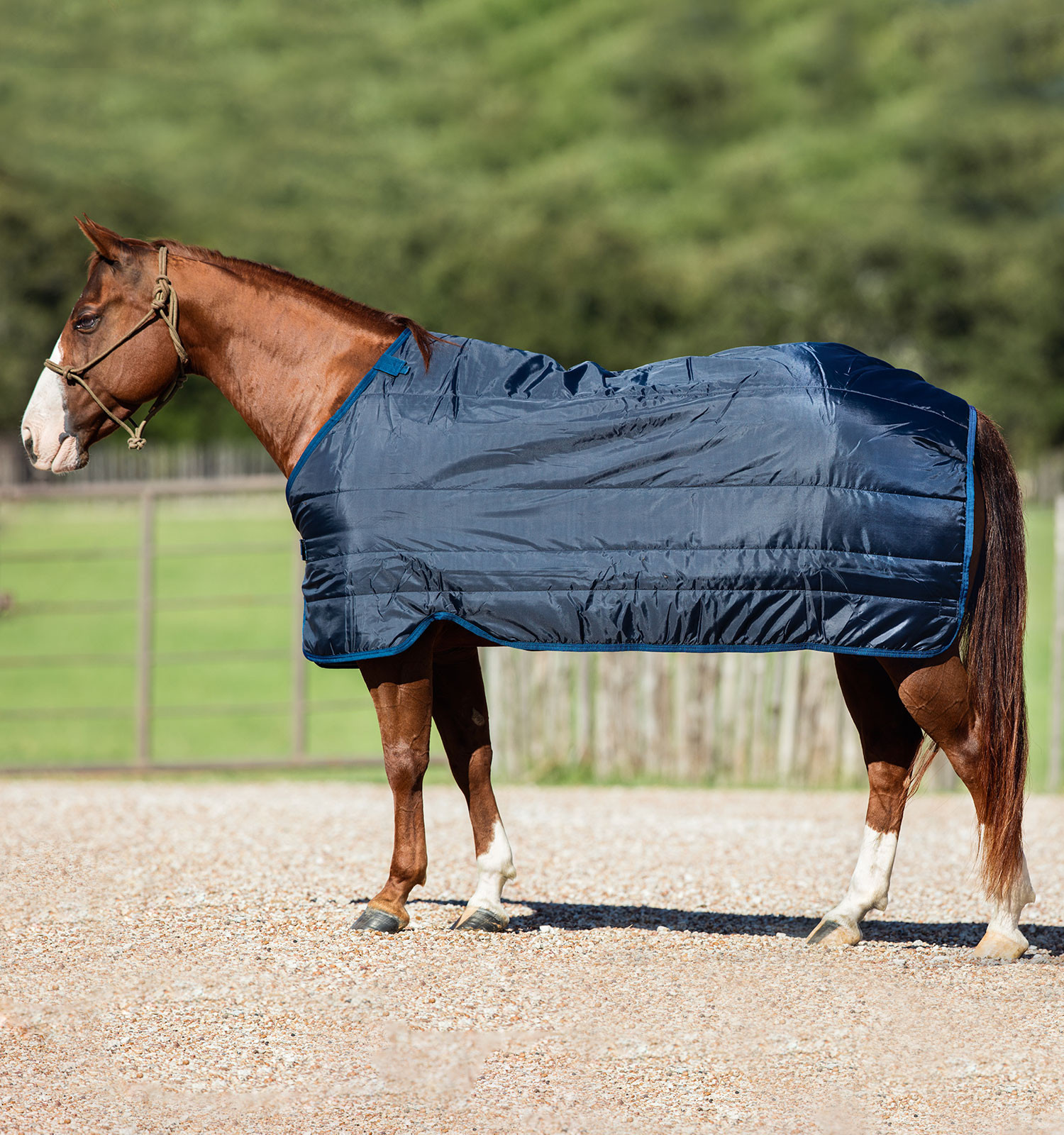 Liner Horseware® 200g Marinho / marinho Azul